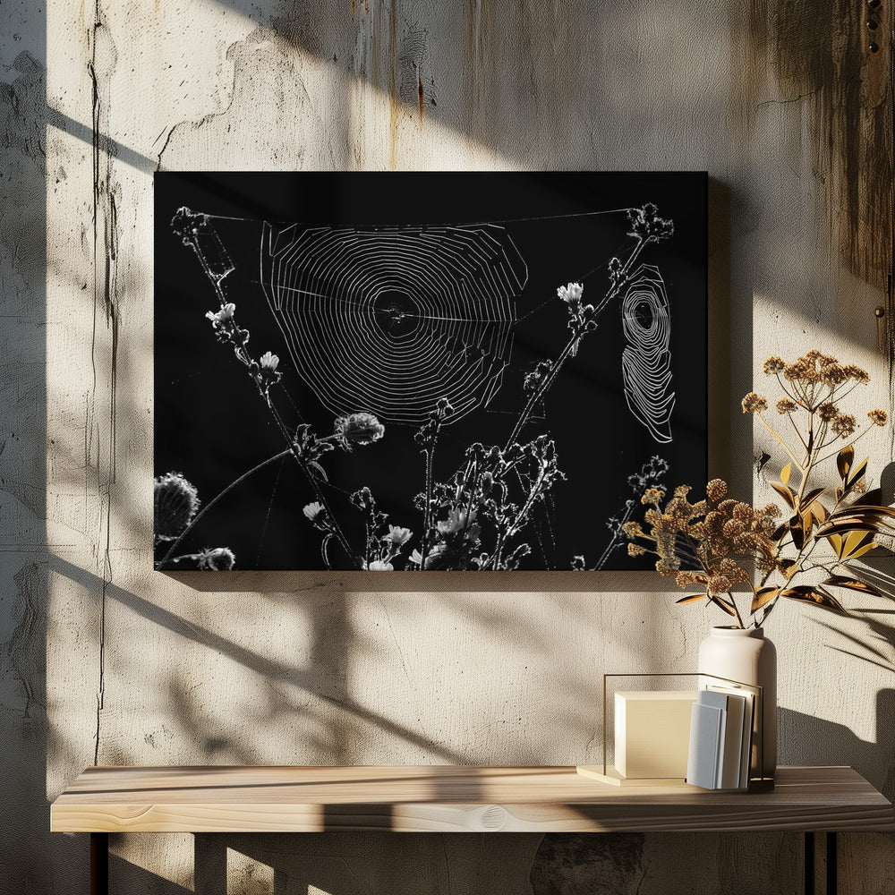 Spider Webs | Canvas