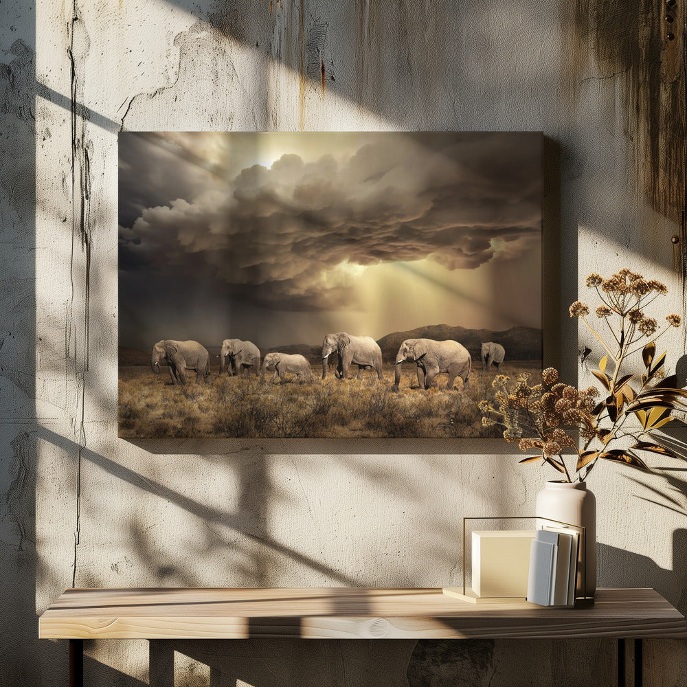 Fria elefanter | Canvas