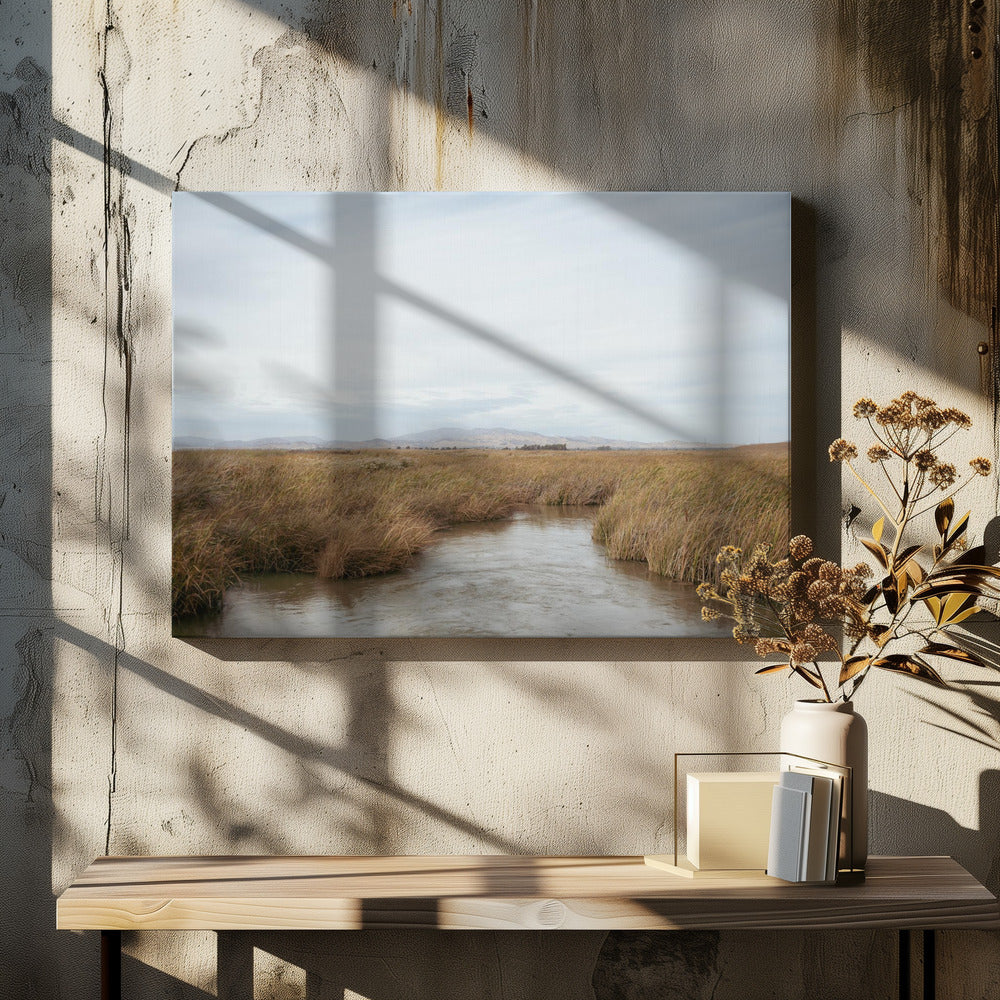 Träskmark nr 1 | Canvastavla