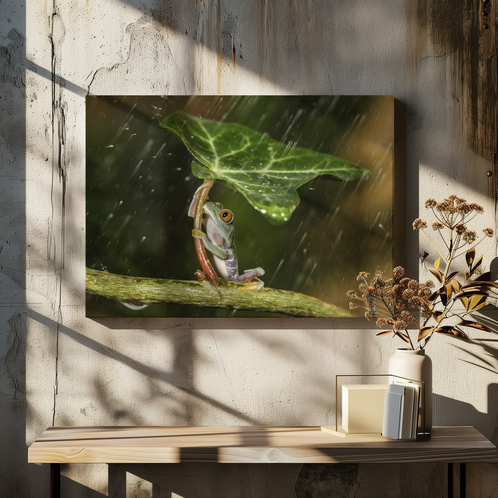 Åh nej :( Det regnar | Canvas