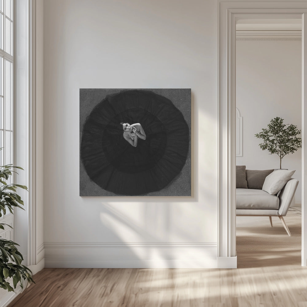 Svart svan | Canvas