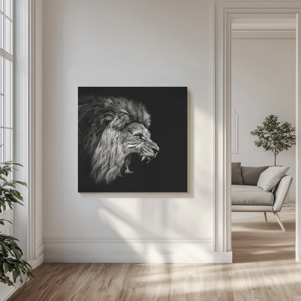 Rytande lejon #2 | Canvas