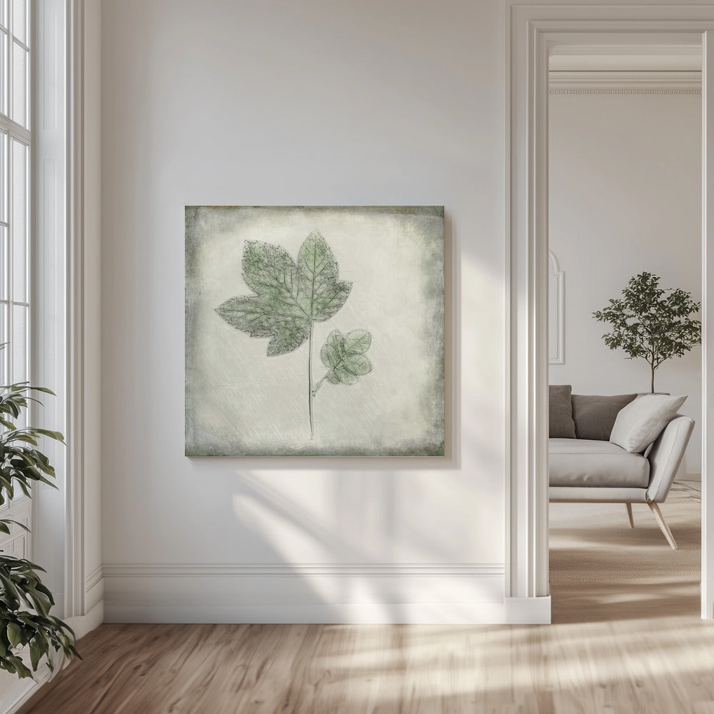 Före förfallet | Canvas