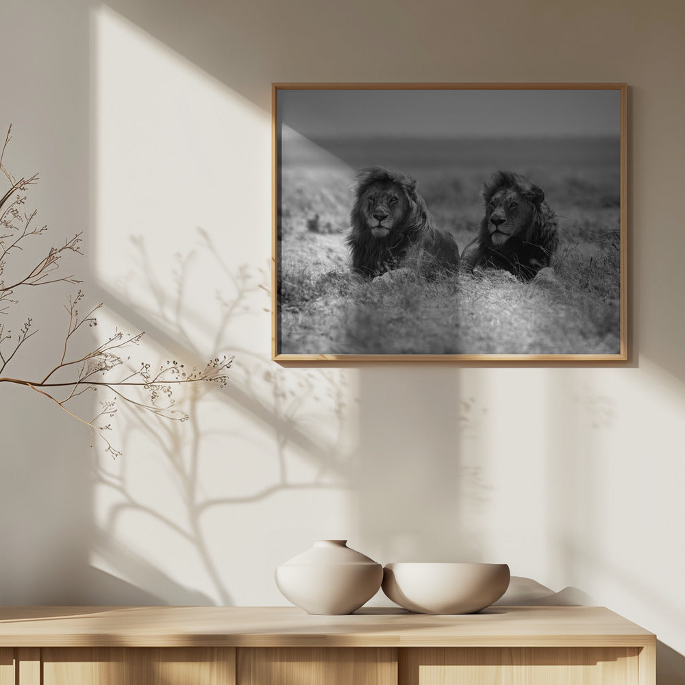Två kungar | Poster