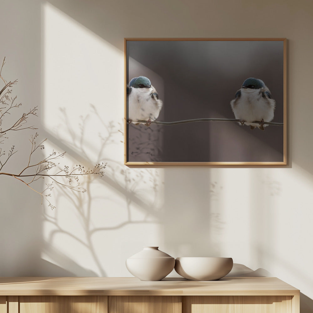 Birds on a wire | Poster