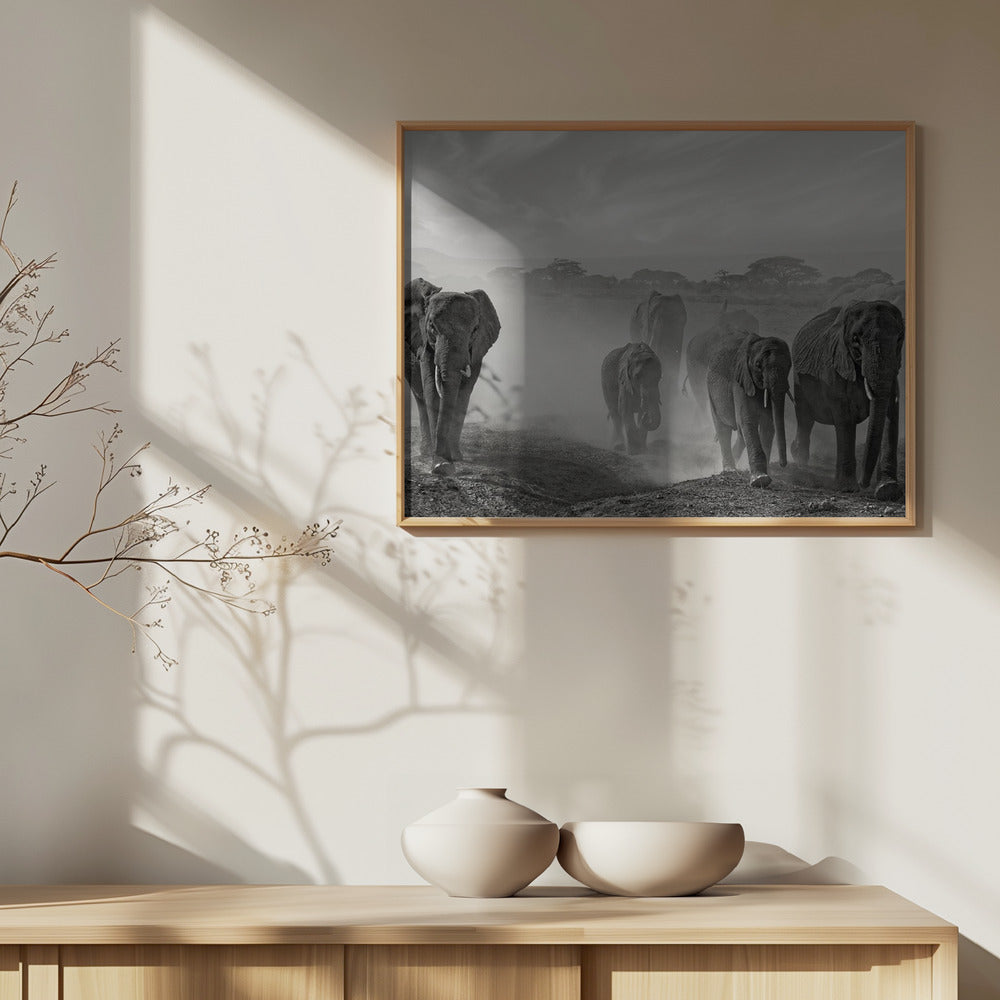 Känslosekvens | Poster