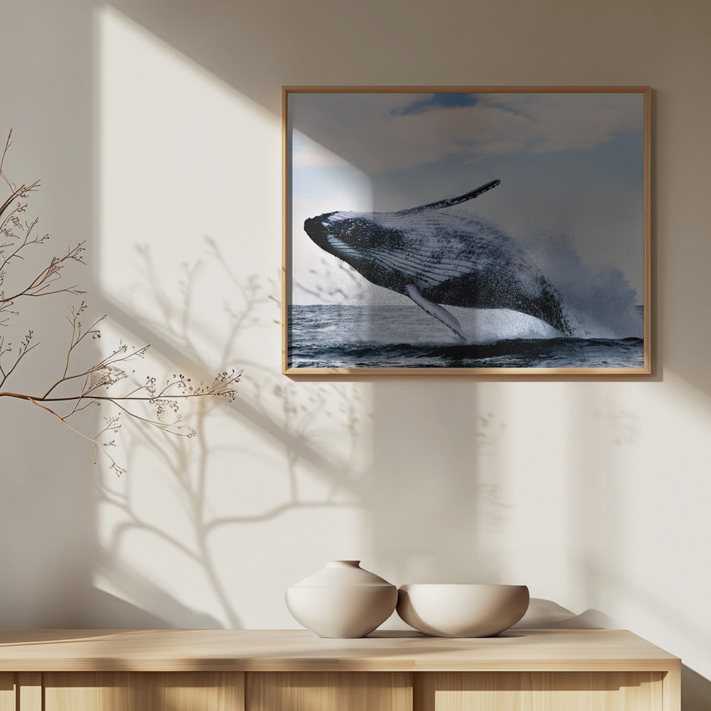 intrång | Affisch