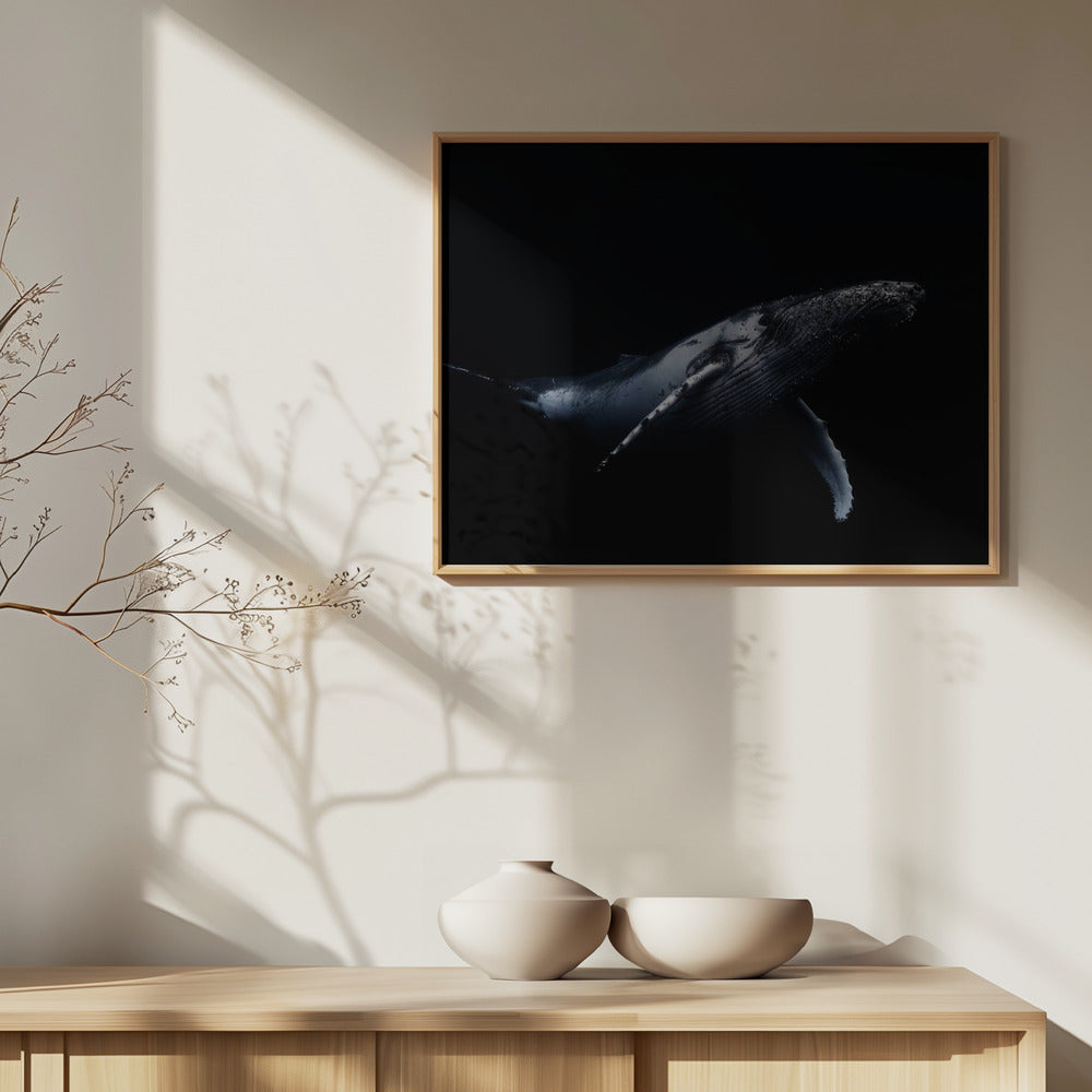 Svart &amp; Val | Poster