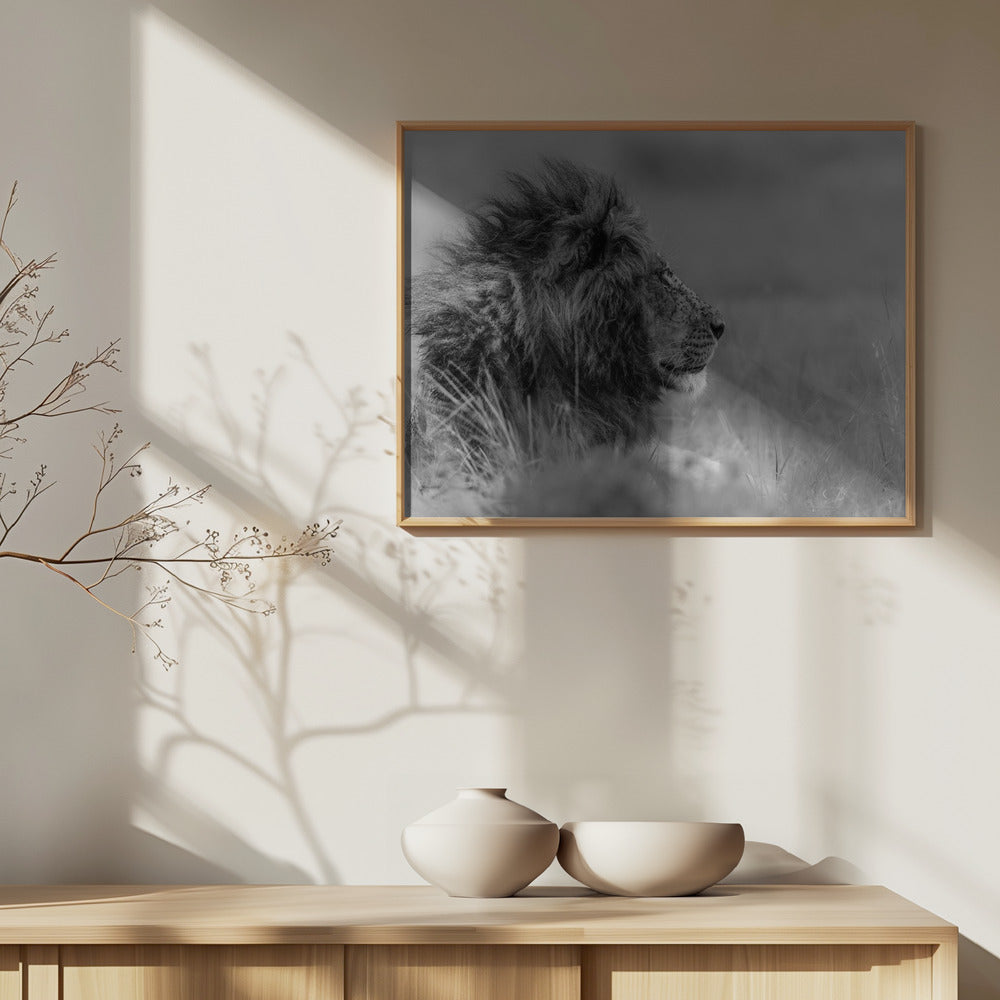Kungen är ensam | Poster
