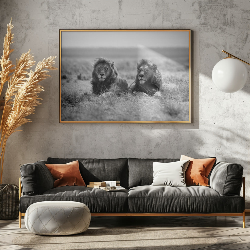 Två kungar | Poster