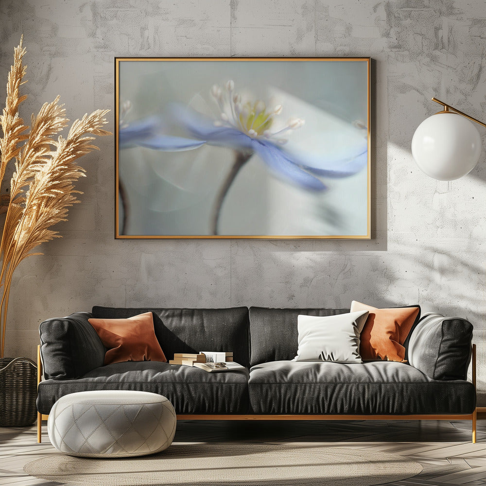 Dansande anemoner | Poster