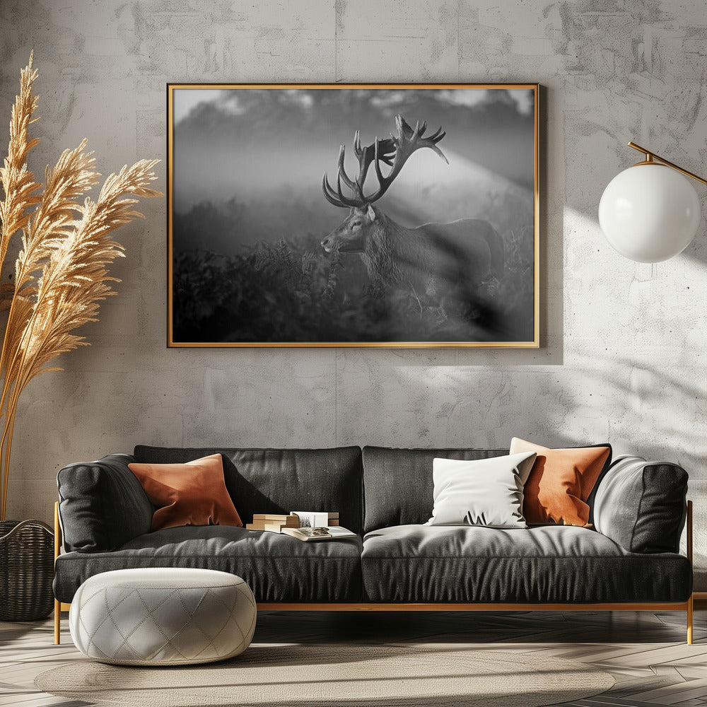 Solig morgon | Poster