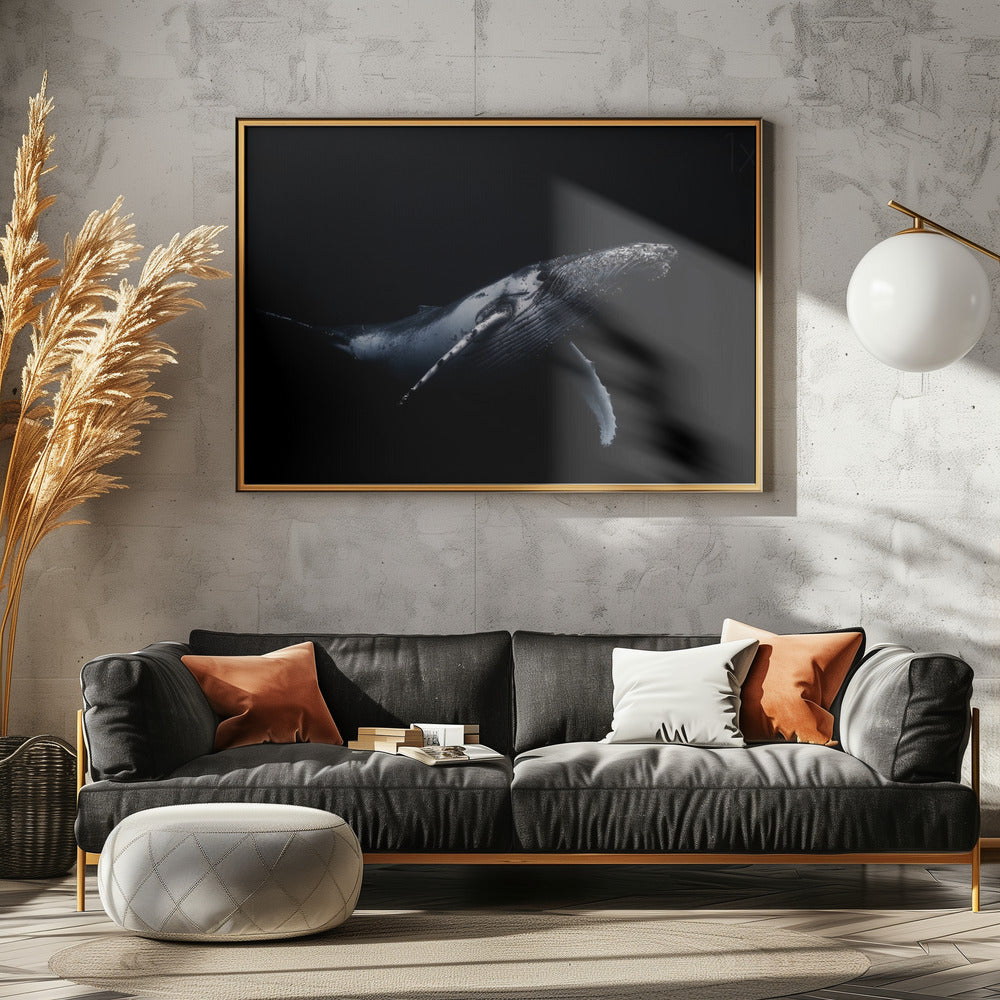 Svart &amp; Val | Poster