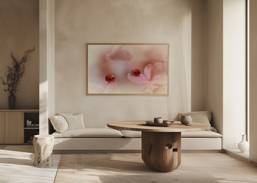 Nyckelpigor på rosa hortensia. | Poster