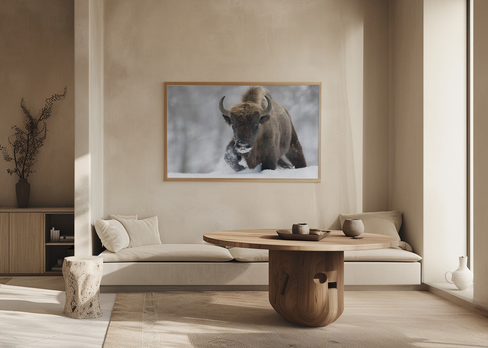 Återvildad | Poster