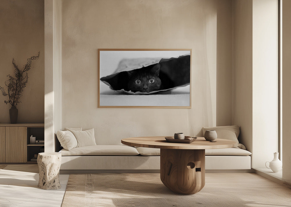 Katt i en påse | Poster
