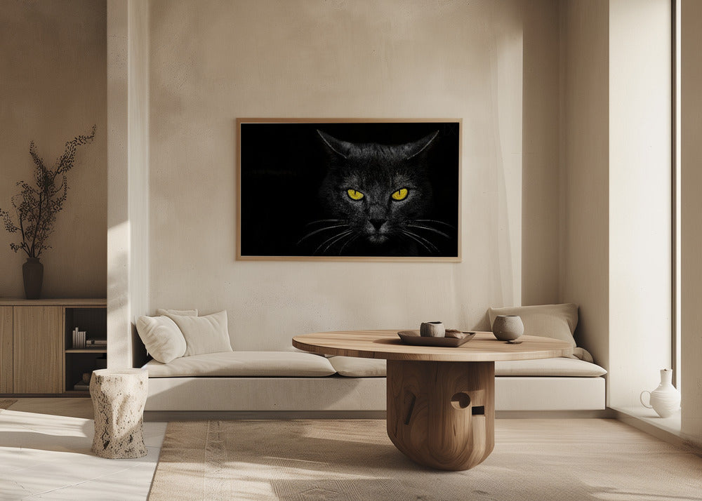 Svart katt | Poster