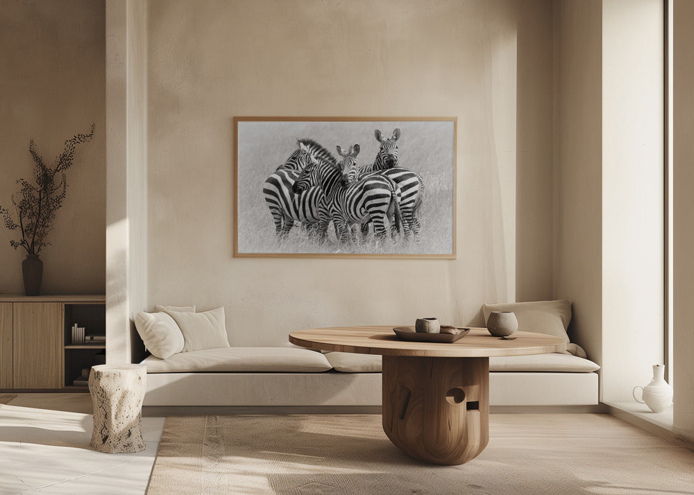 Zebror | Poster