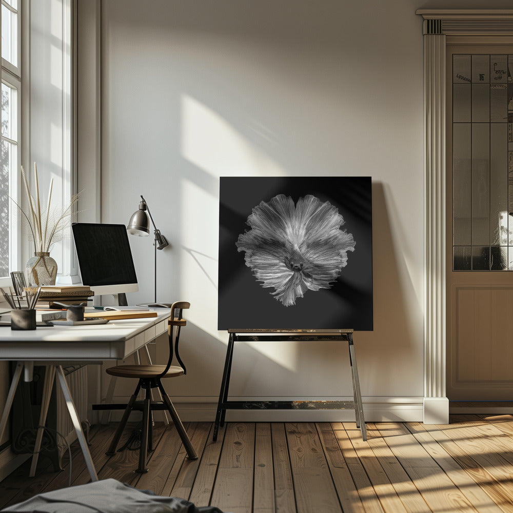 Die Blume des Schwanzes | Leinwand-Bilder