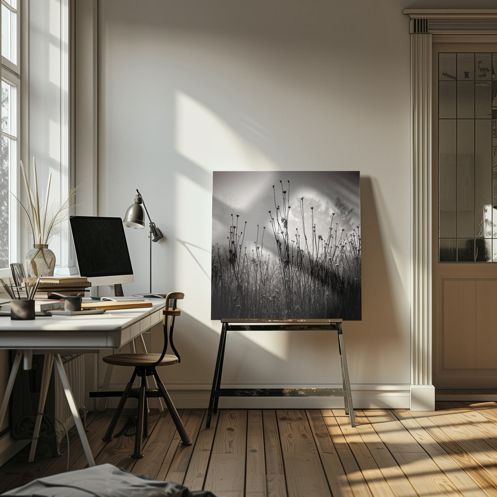 Plantes des prés 1 | Tableaux sur Toile