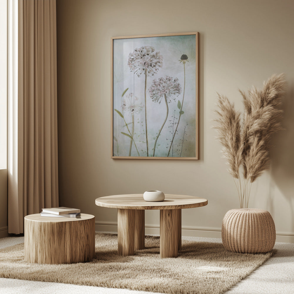 Allium | Poster