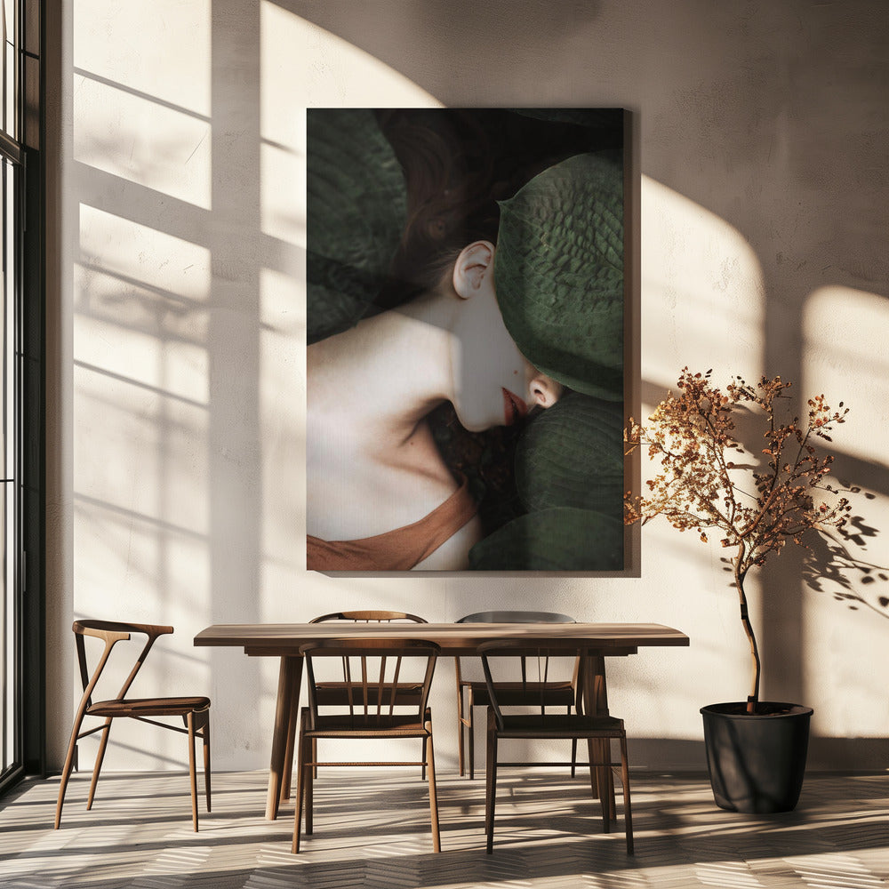 Var | Canvas