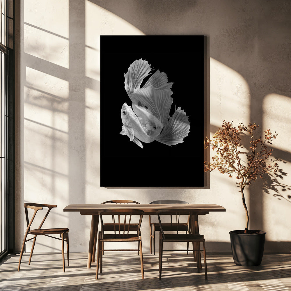 White Love | Canvas