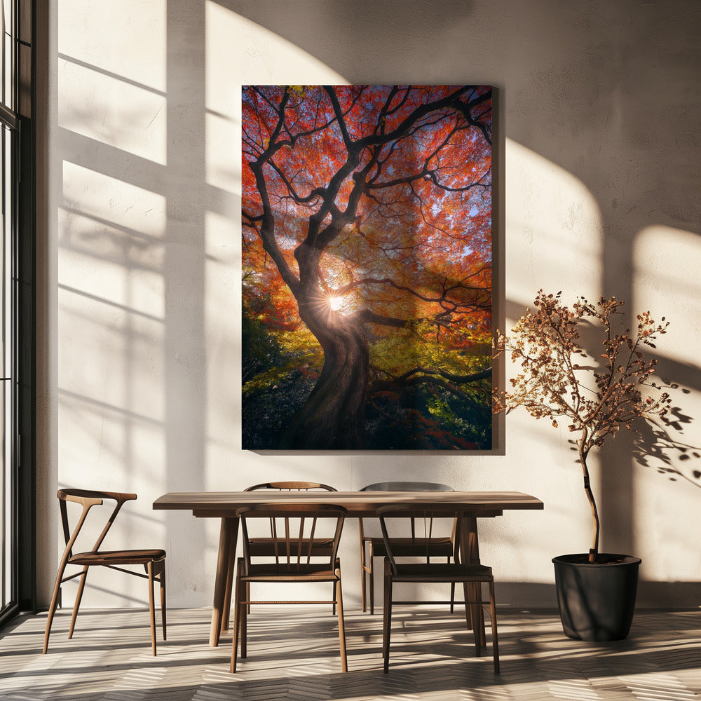 L'arbre japonais | Tableaux sur Toile