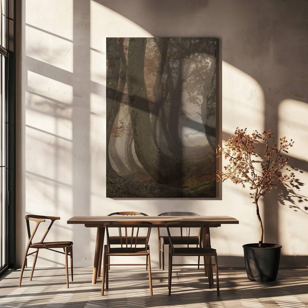 vridna bokträd | Duk