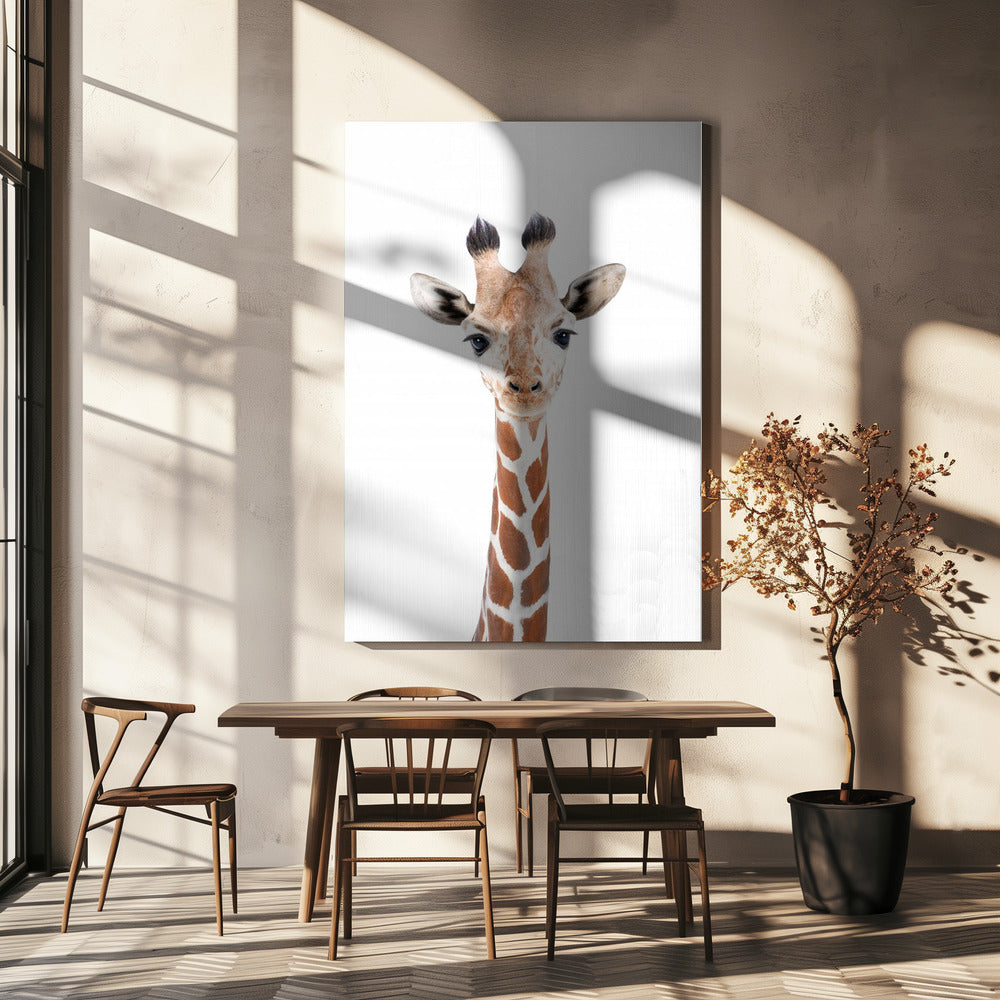 Baby Giraffe | Canvas