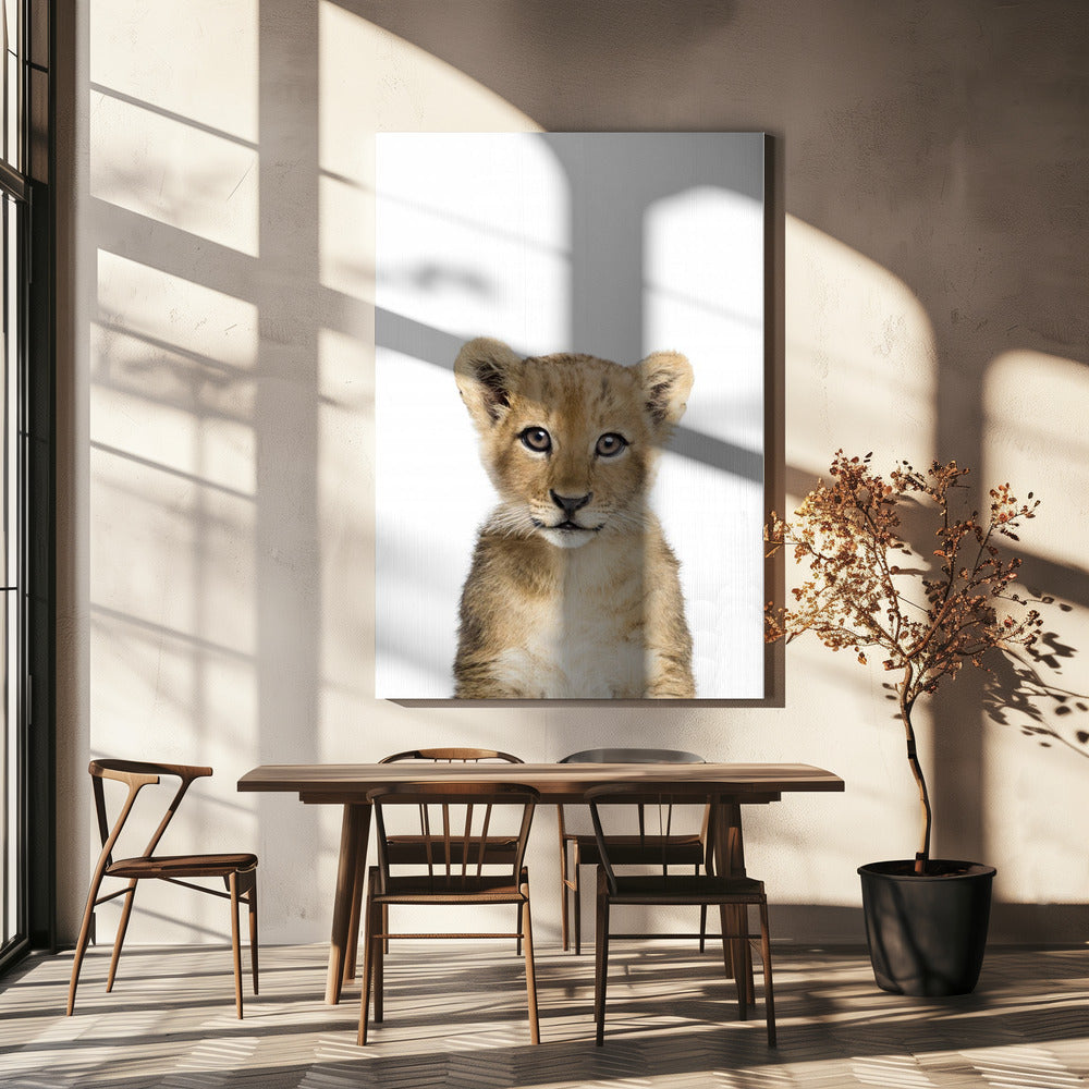 Bébé Lion | Tableaux sur Toile