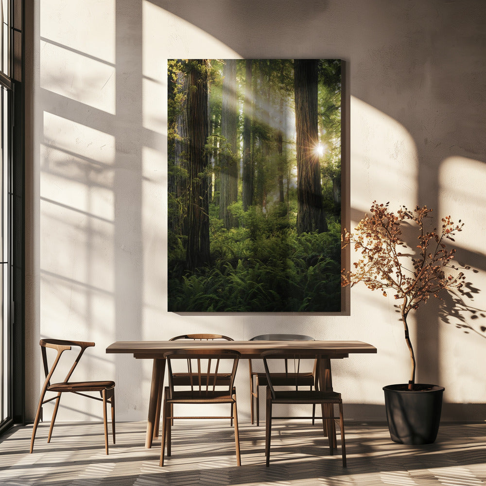 Forêt des fées | Tableaux sur Toile