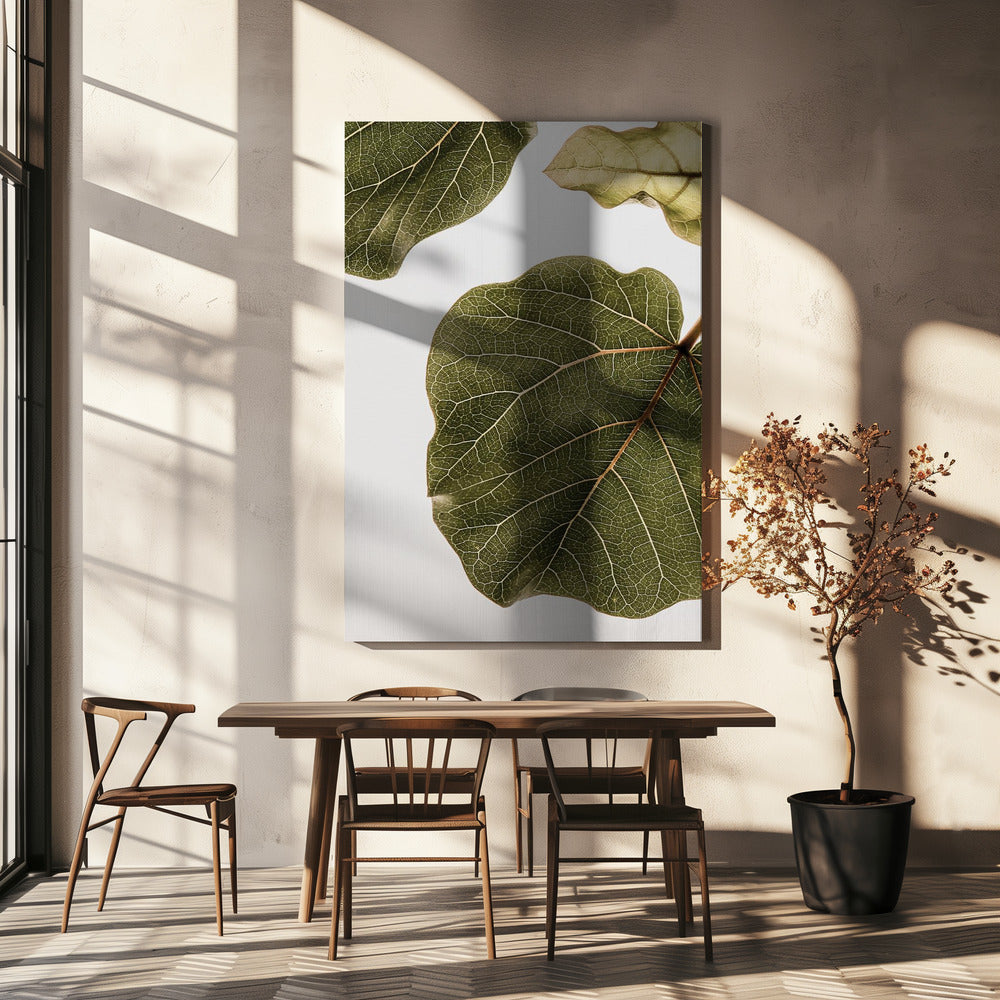 Abutifolia No2 | Canvas