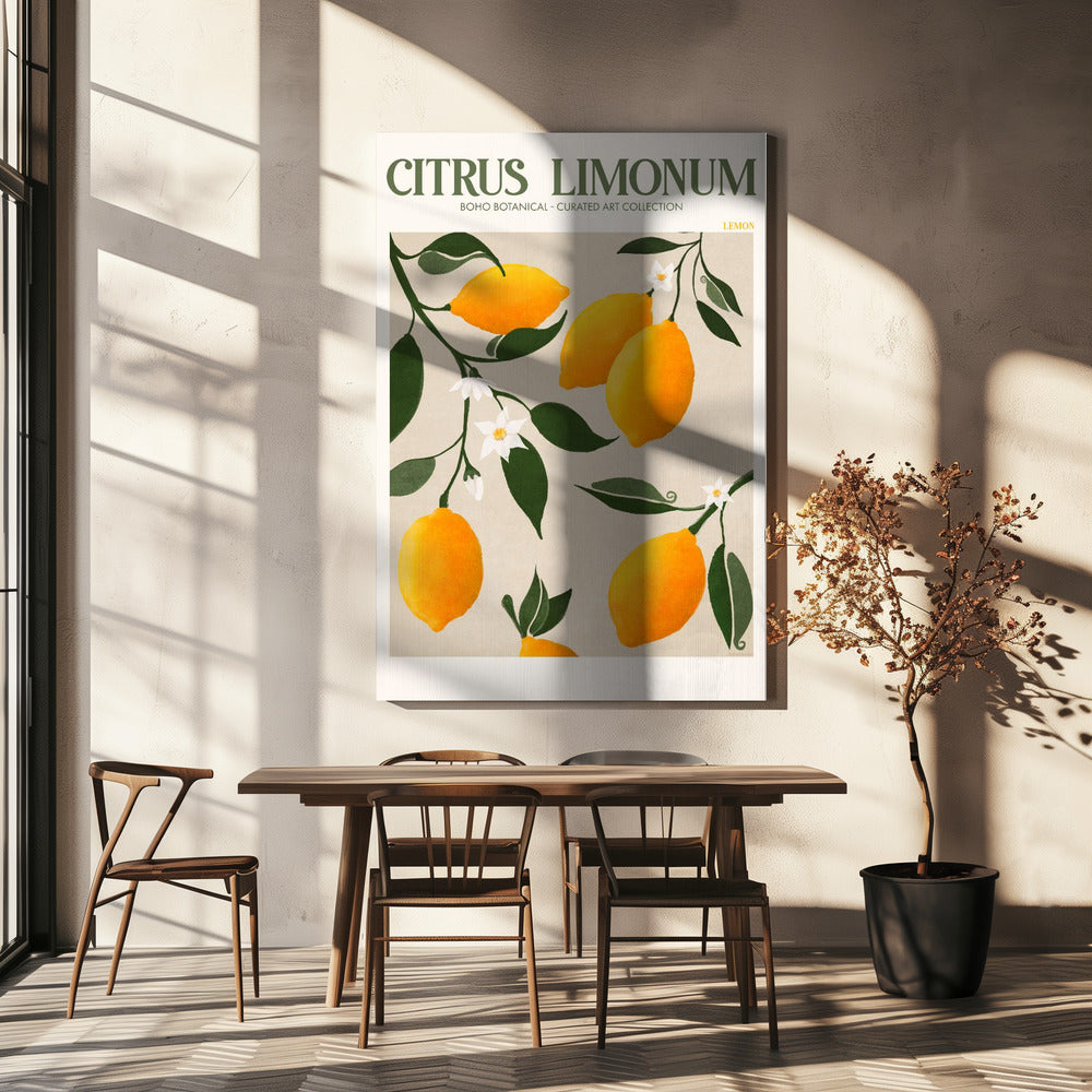 Citrus Limonum - Sitruuna | Canvastaulut