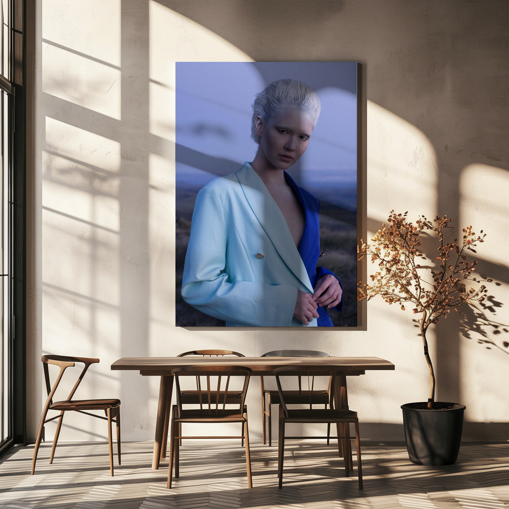 LA REINE DES NEIGES | Tableaux sur Toile