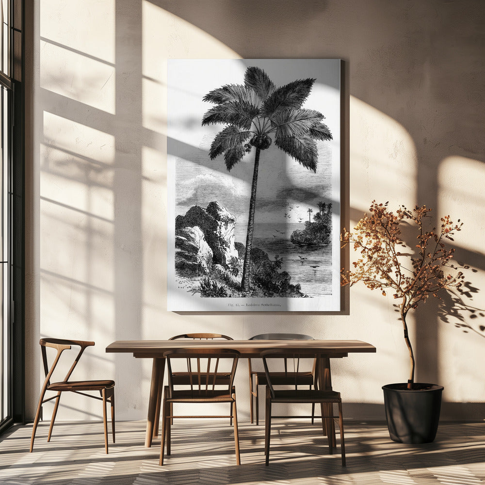 Vintage Palm Tree Drawing I | Canvas