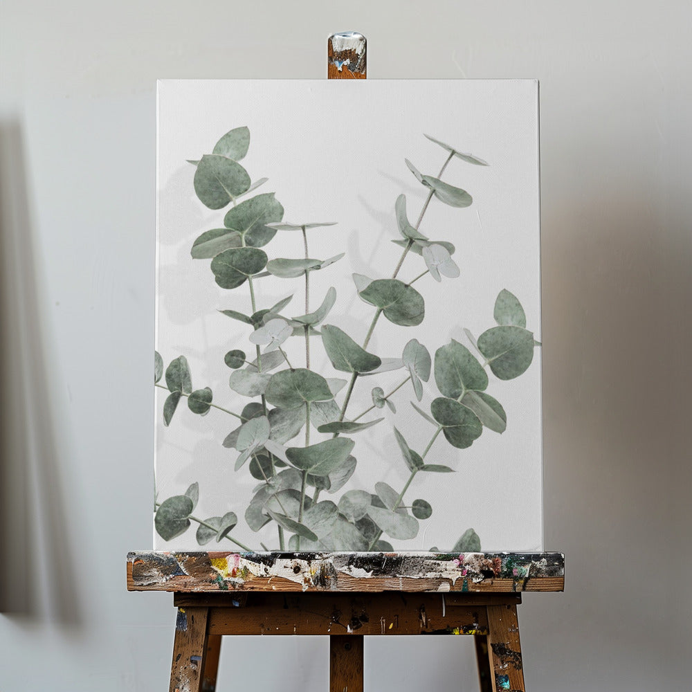 Eucalyptus Creative 16 | Canvas
