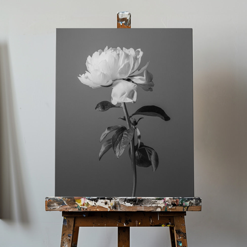 Peony BW | Canvas