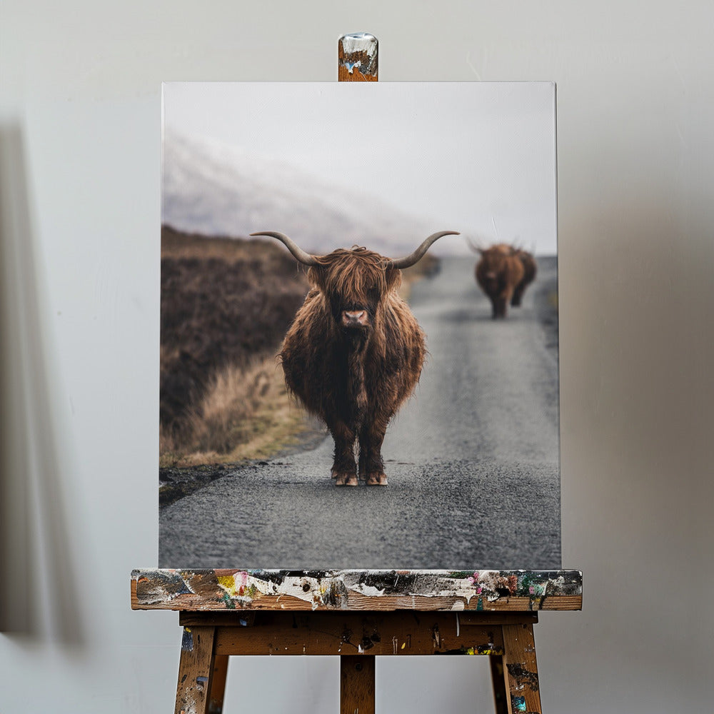 Mucca | Stampe su Tela
