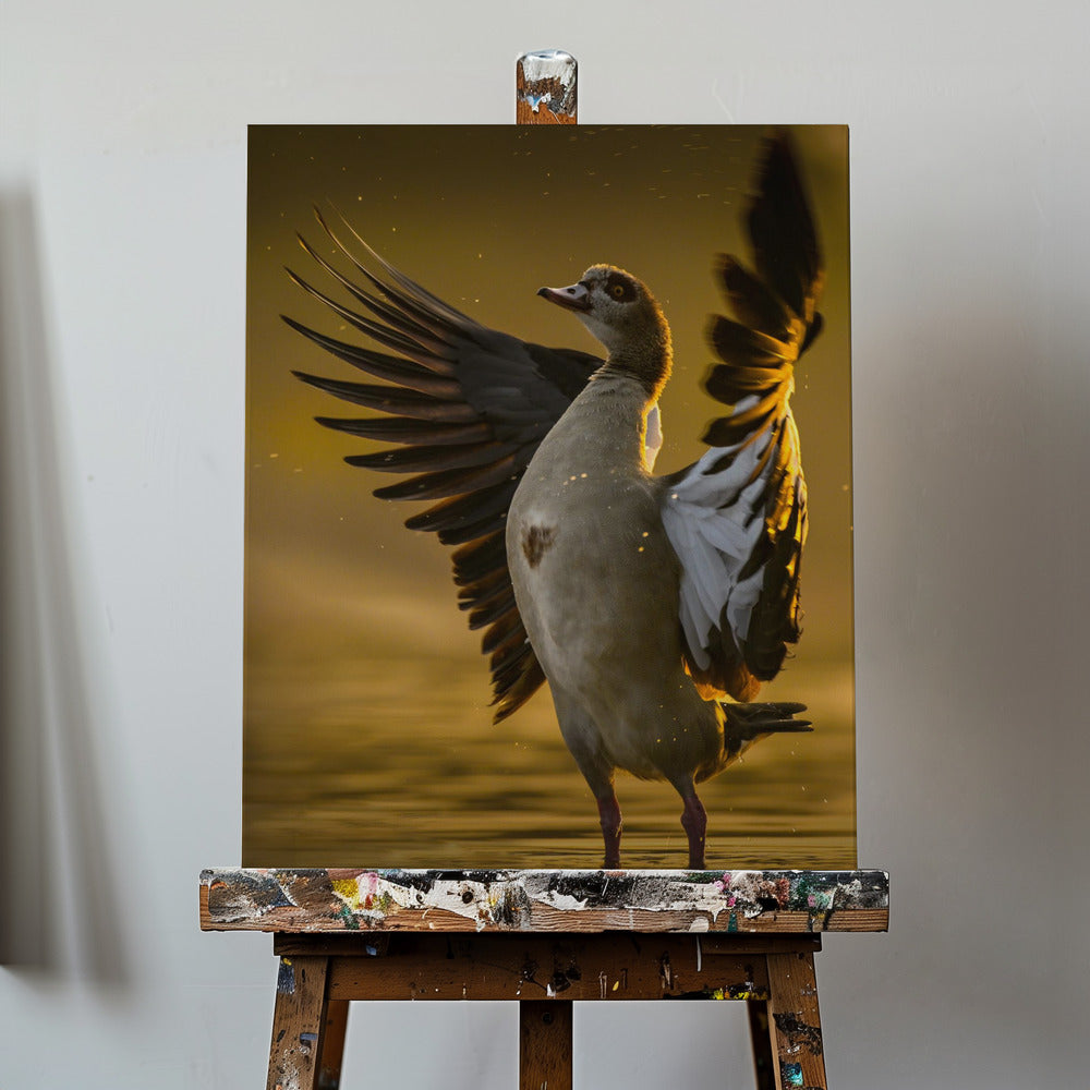 Open  Heart | Canvas