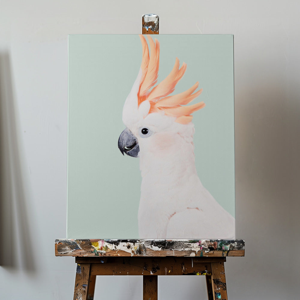 Cacatoès | Tableaux sur Toile