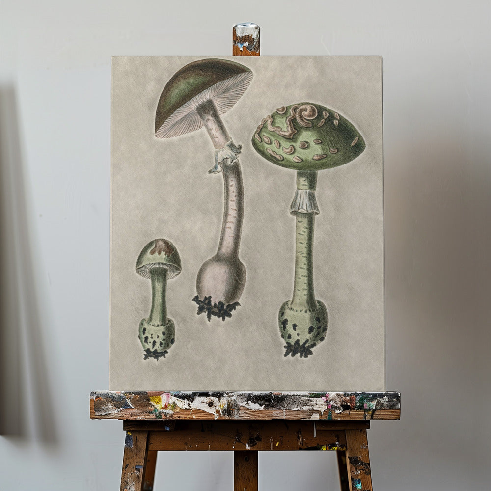 Amanita Muscaria Remix Grön | Duk