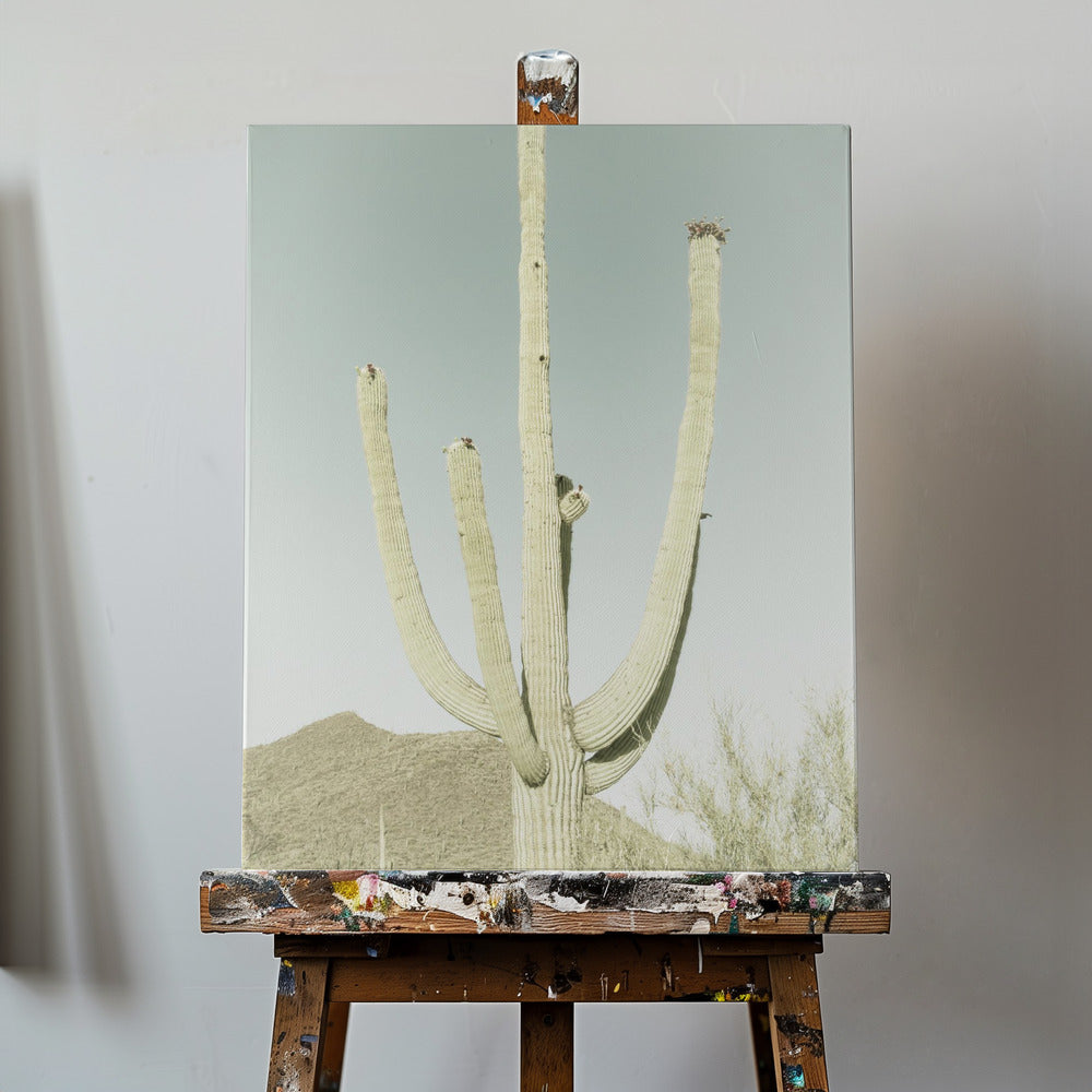 SAGUARO NATIONAL PARK Vintage Giant Saguaro | Canvas