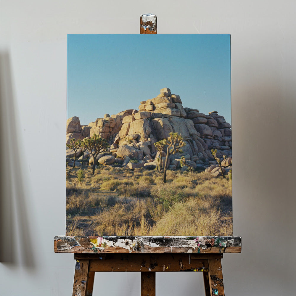 Joshua Tree Sunset | Canvas