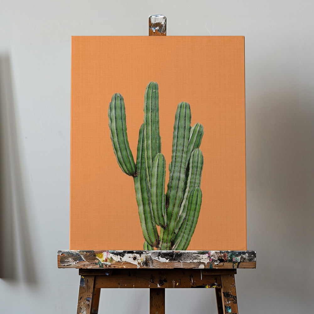 Orange Cactus | Canvas