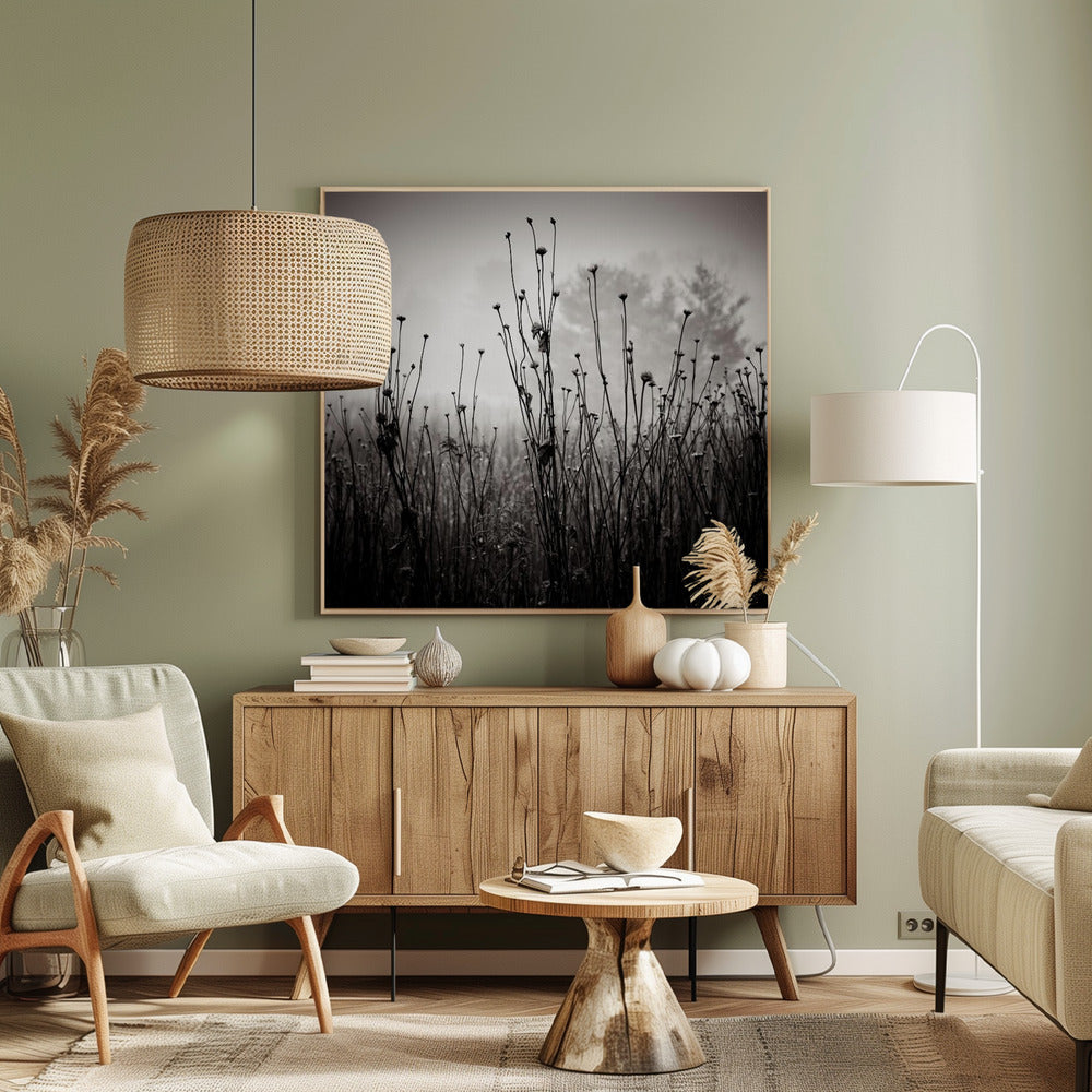 Plantes des prés 1 | Tableaux sur Toile