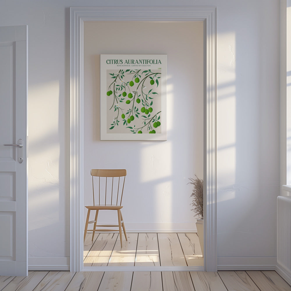 Citrus Aurantifolia - Lime | Canvas