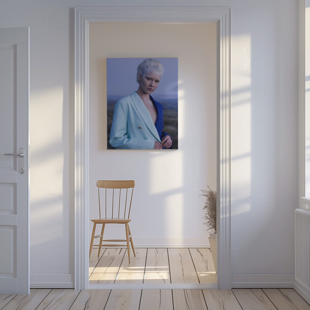 LA REINE DES NEIGES | Tableaux sur Toile