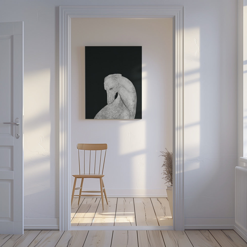 Greyhound svart og hvit | Lerretsbilder
