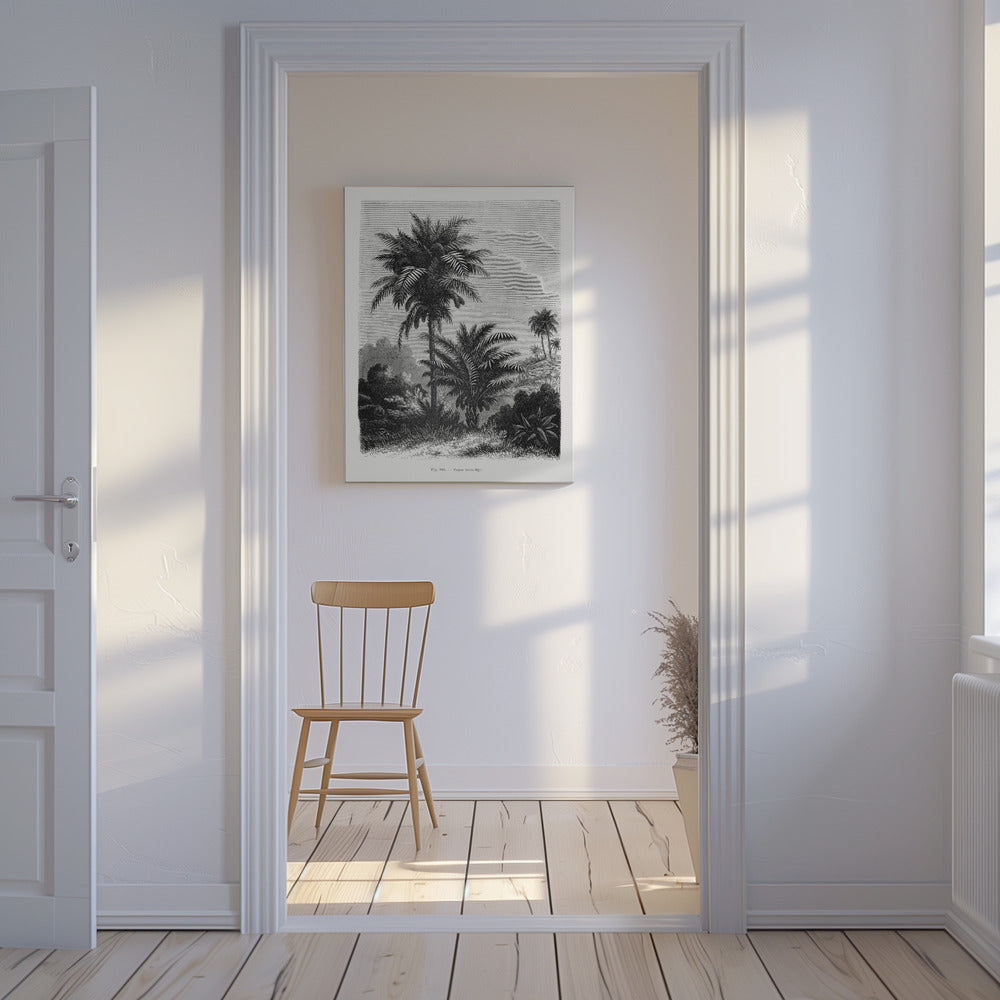 Vintage Palm Tree Drawing V | Canvas
